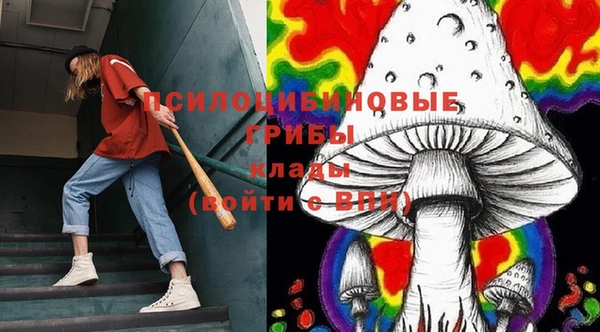 apvp Абаза