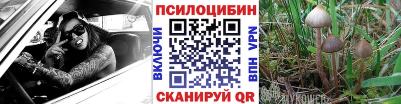Псилоцибиновые грибы MAGIC MUSHROOMS  наркотики  кракен зеркало  Новотроицк 