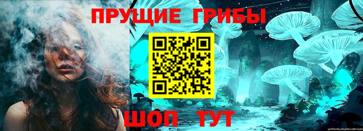 Галлюциногенные грибы MAGIC MUSHROOMS  Галлюциногенные грибы MAGIC MUSHROOMS  наркота  Новотроицк  Вход с VPN 
